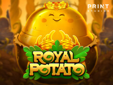 Royal vegas casino online slots14